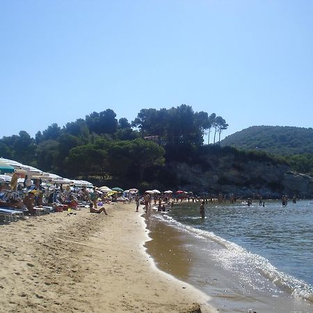 Appartamenti Gli Alberi Capoliveri  Dış mekan fotoğraf